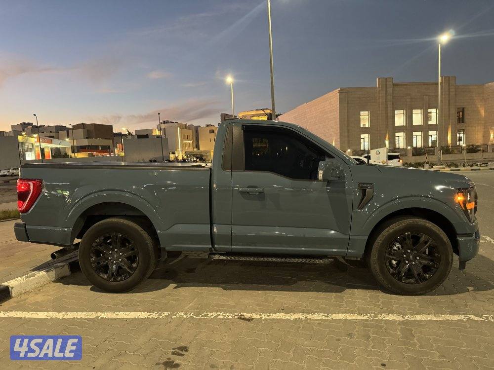 Ford F150 Model 20231