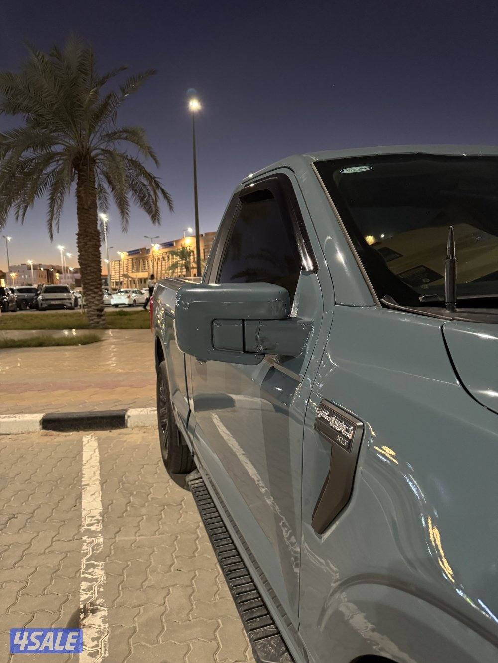 Ford F150 Model 20234