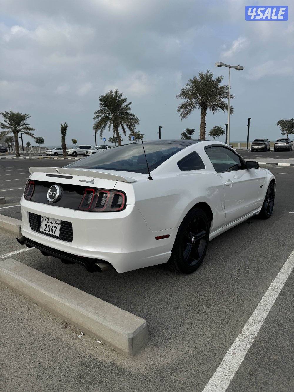 موديل 2010 بانوراما1