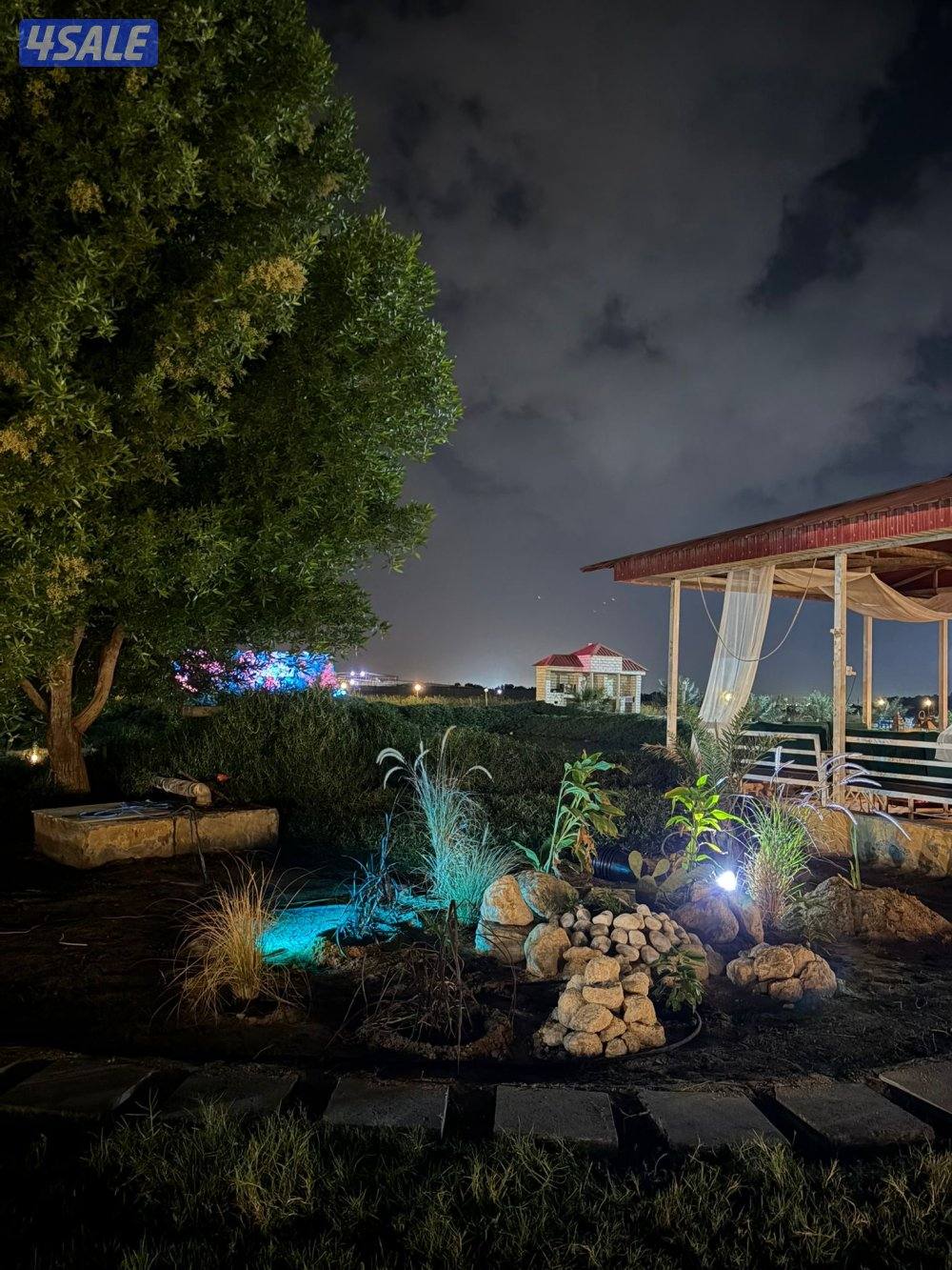 العبدلي ايام معدوده خلال شهر يناير مزرعة VIP2