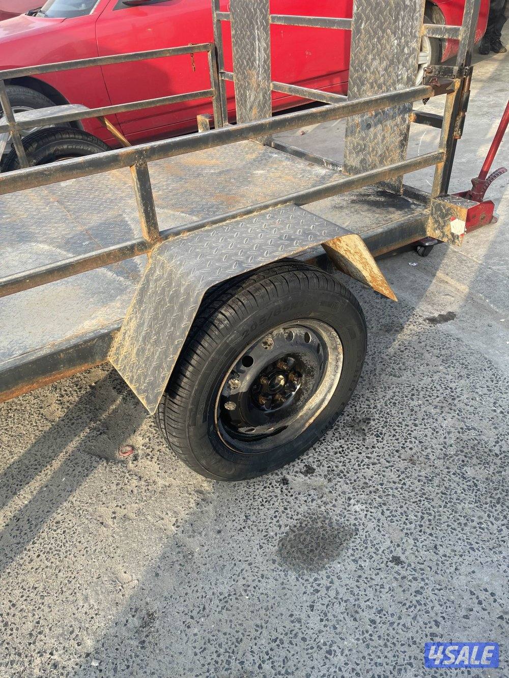 عربانه تشيل رابتر او بولريس او بانشي1