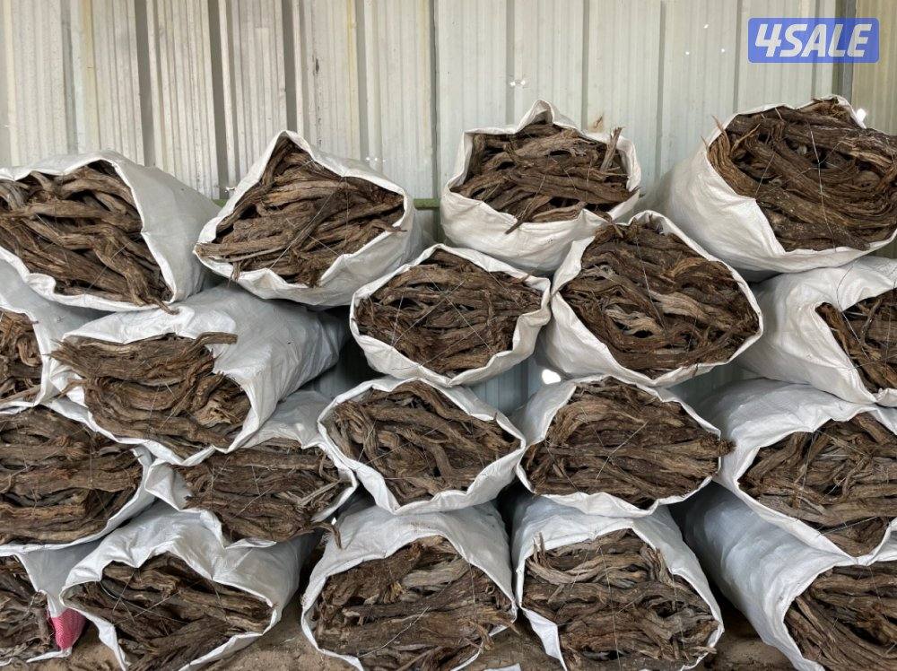 رمث جروم صافي⛺️🪵0