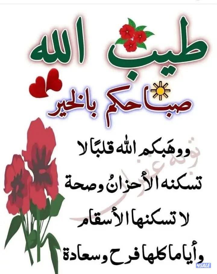 بسم الله المعين والمستعان  ابحث عن وظيفة ساىق جير عادي او اتوماتك0