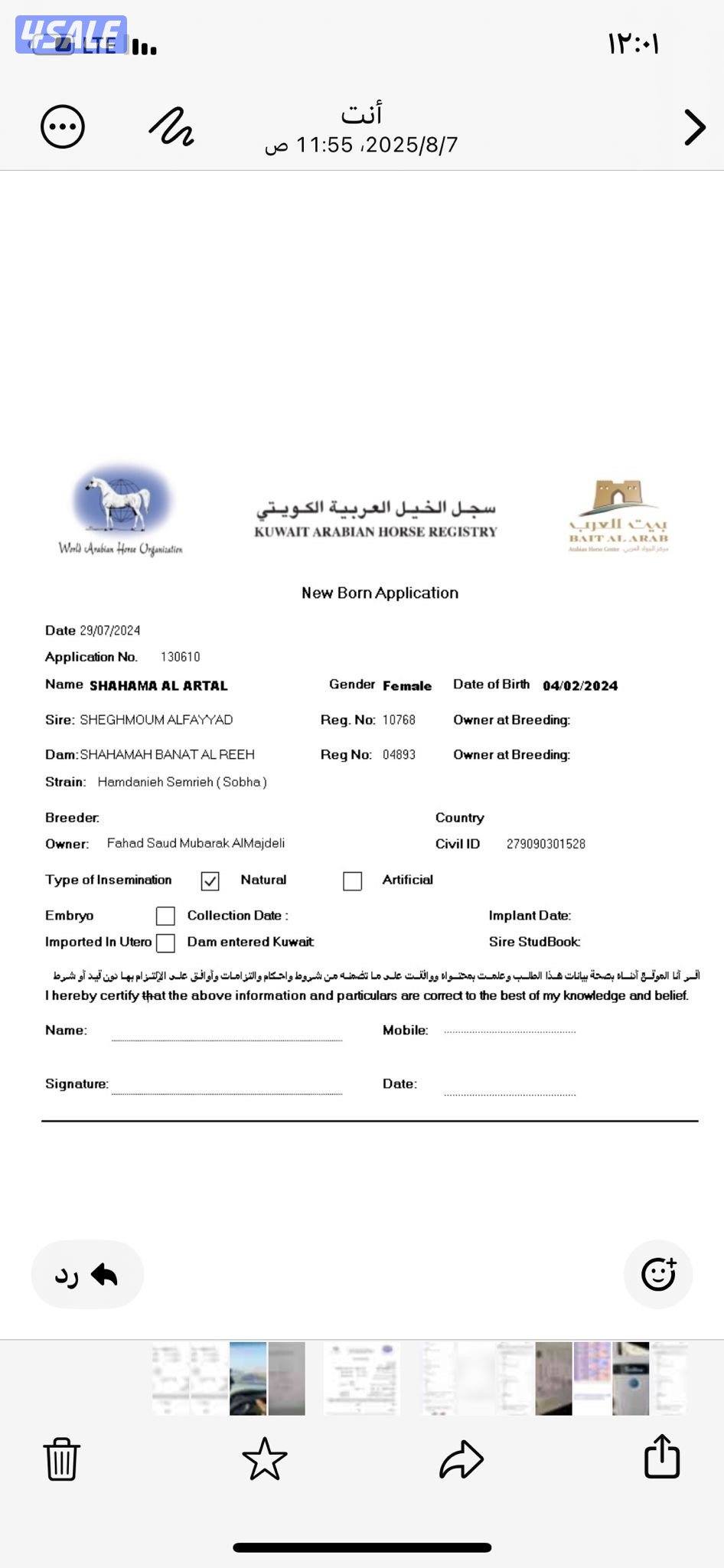 للبيع فرس مهره فاخره جدا2