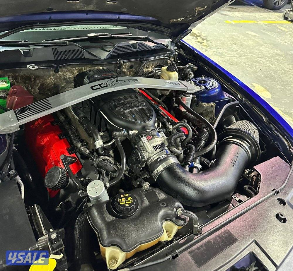 للبيع موستنج 5.0 ( 8 ) سلندر7