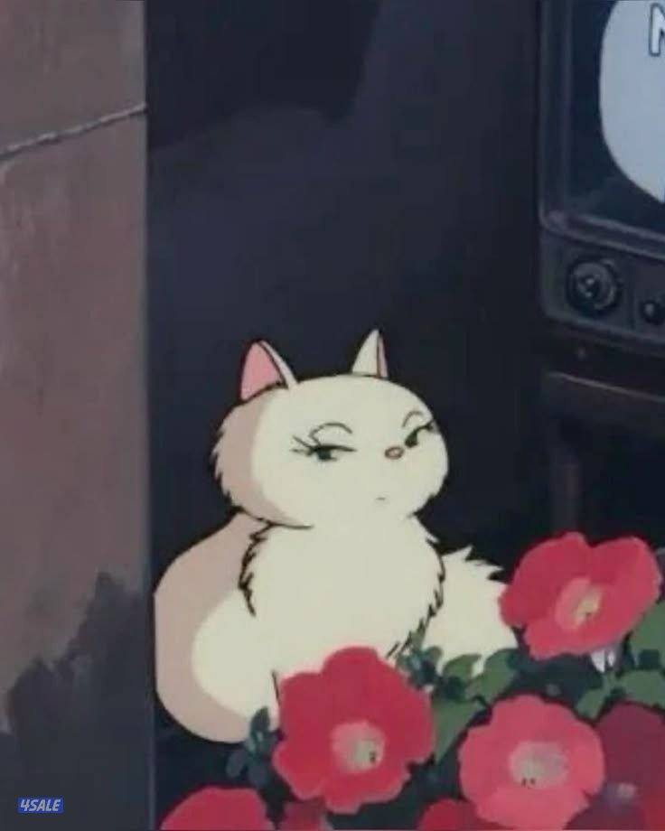 فتاه من غير محددي الجنسيه اطلب عمل0