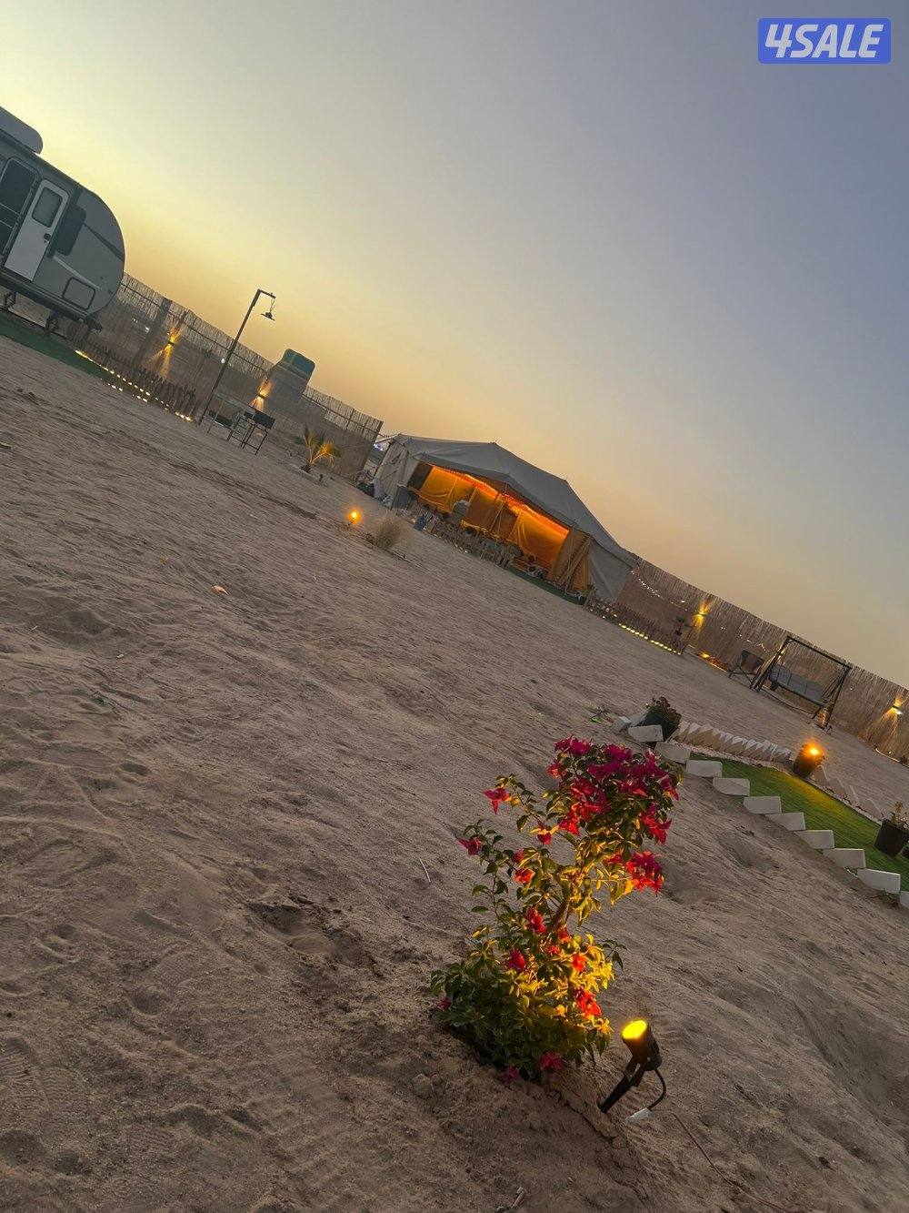 AL DANA - camp ⛺️6