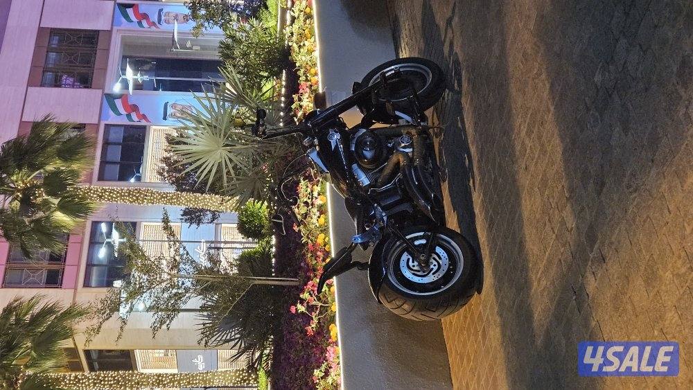 Harley Davidson Fatboy0