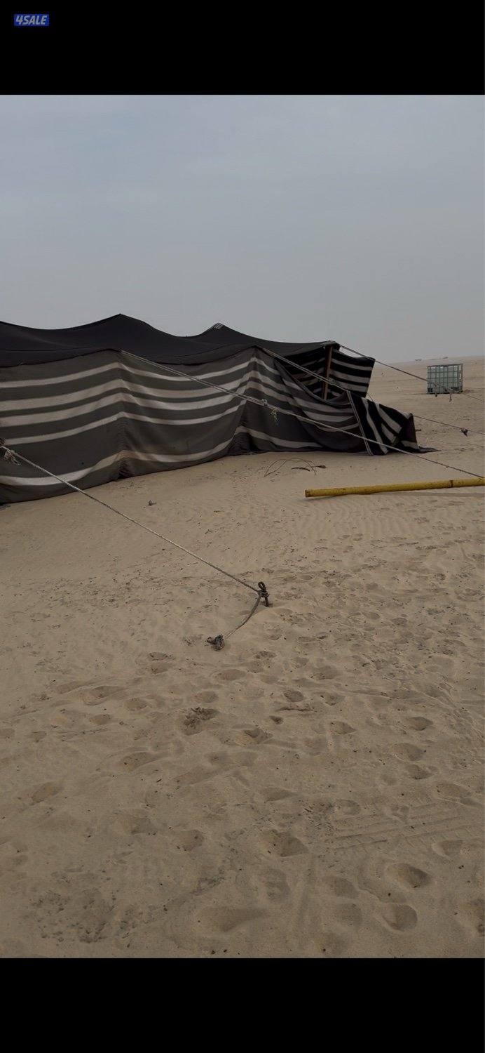 للبيع بيت شعر حالته زينه والصامل يبشر بالخير0