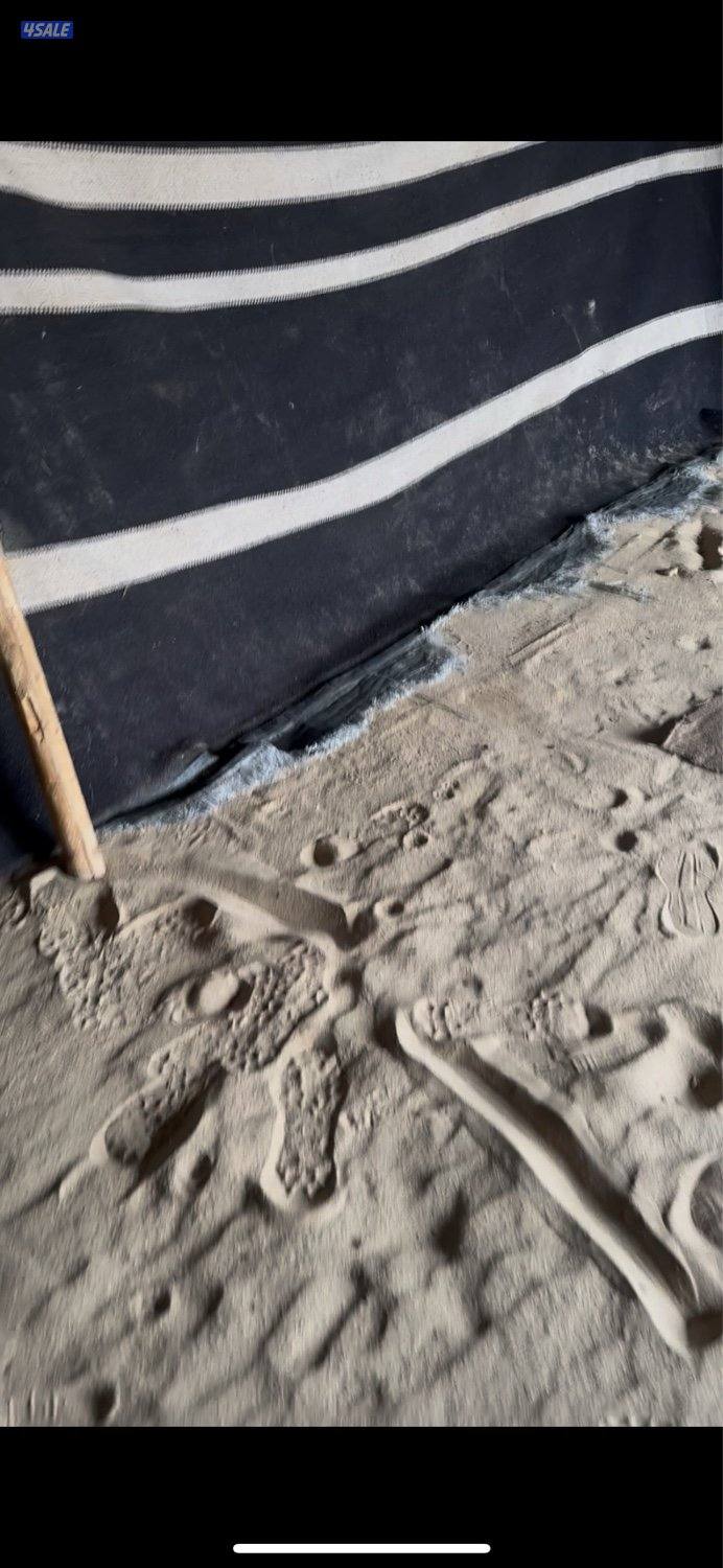 للبيع بيت شعر حالته زينه والصامل يبشر بالخير3