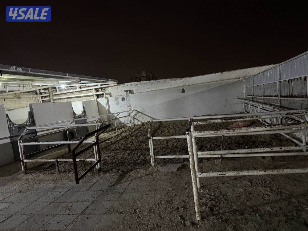 دوانيه أربعة مناجر خيل بدوق غرفت حارس غرفت علف1