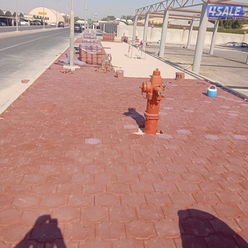 تنسيق حدائق0