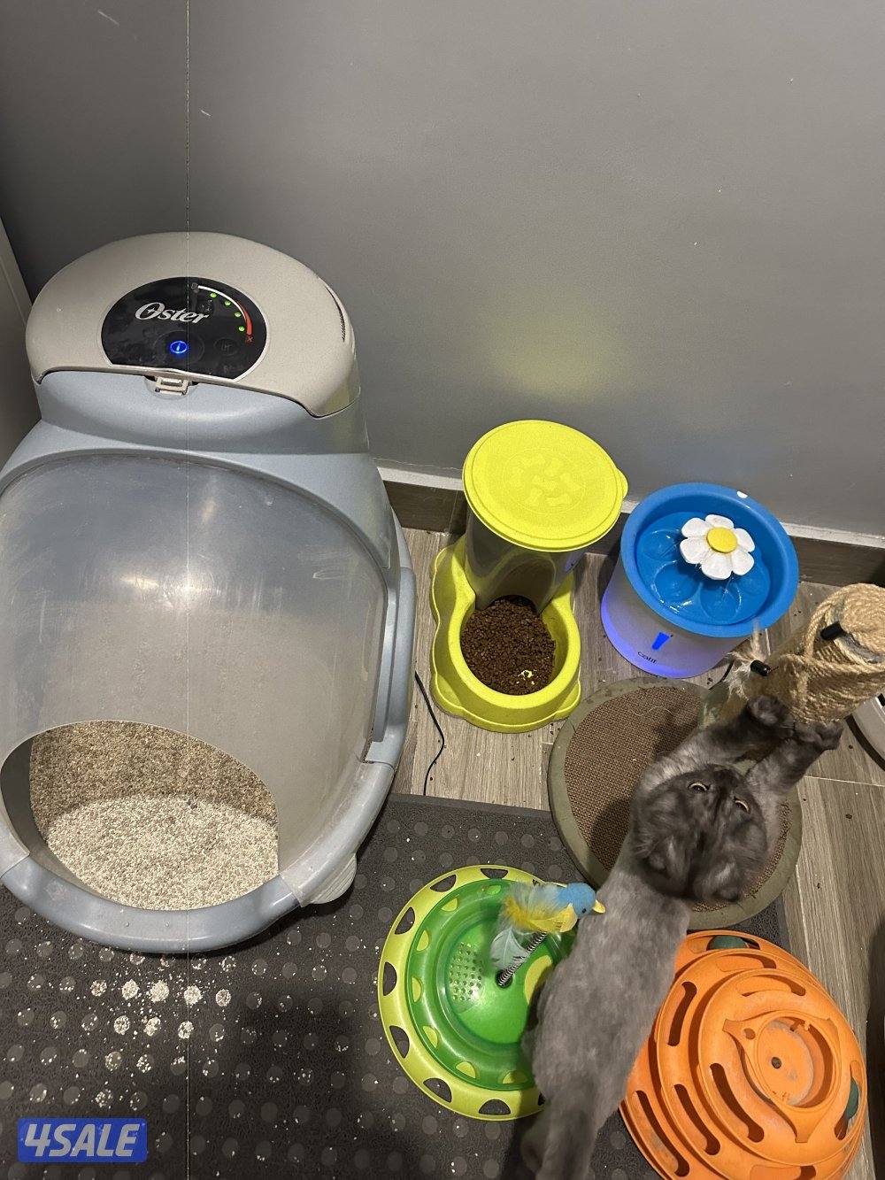 سكوتش فولد2