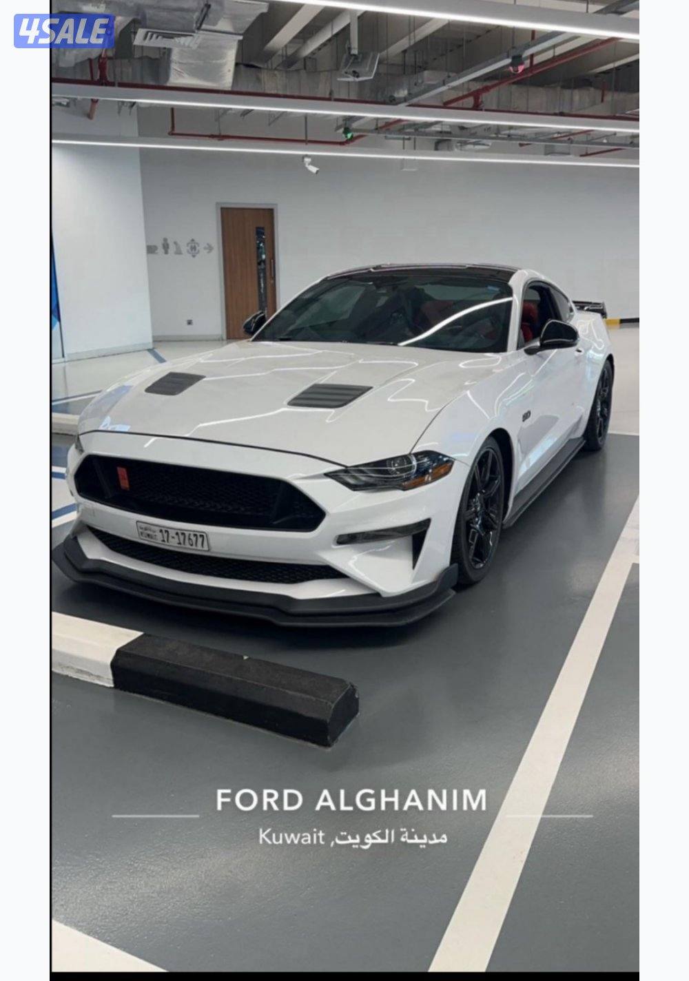 موستنق 2019 قير تماتيك1