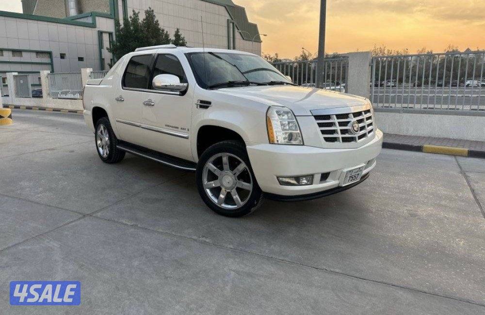 سكالد وارد الغانم0