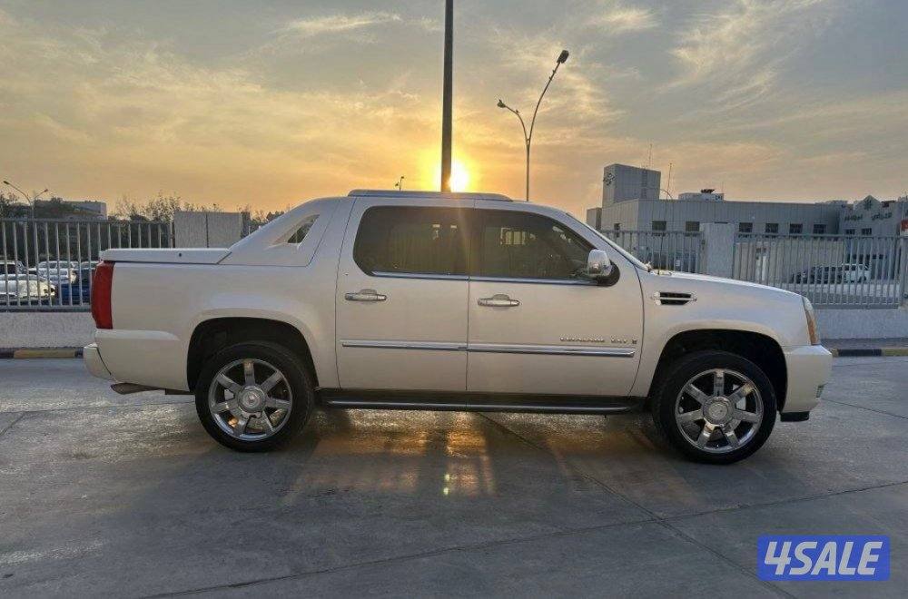 سكالد وارد الغانم1