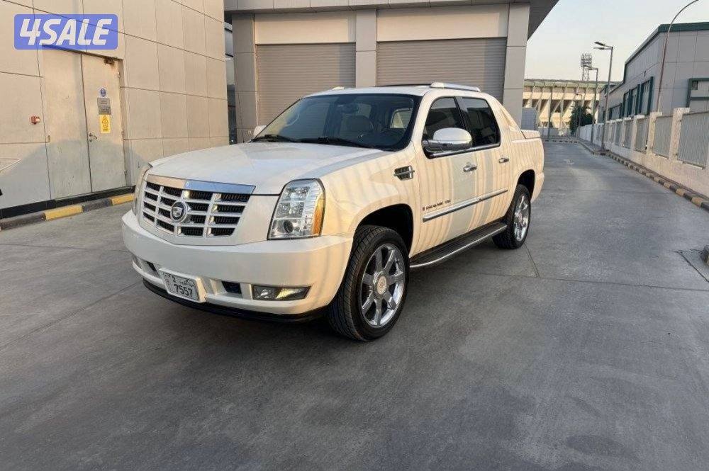 سكالد وارد الغانم2