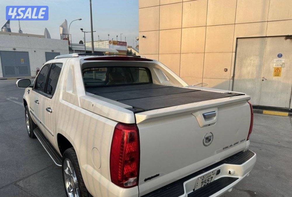 سكالد وارد الغانم3