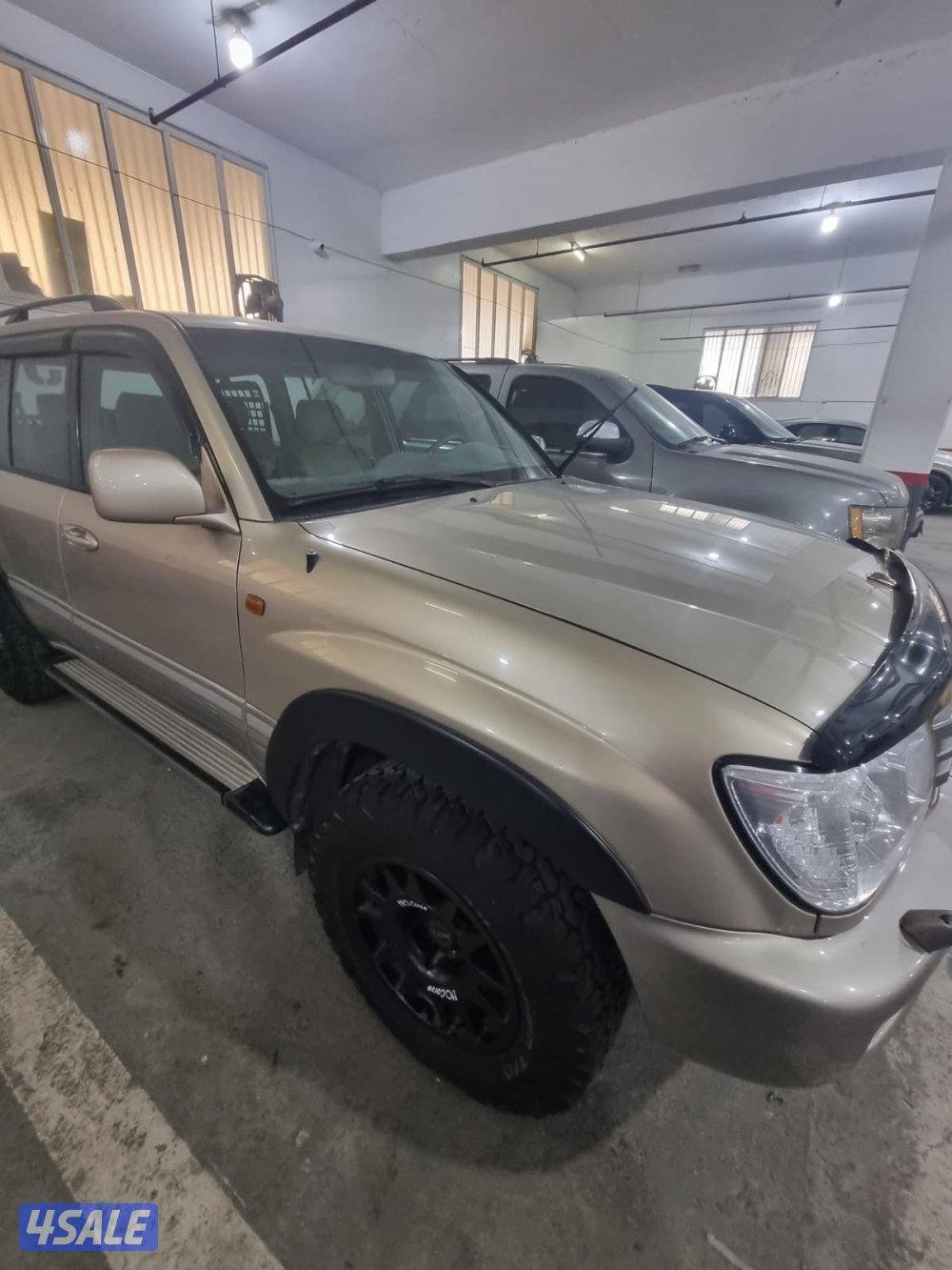 صباح السالم7