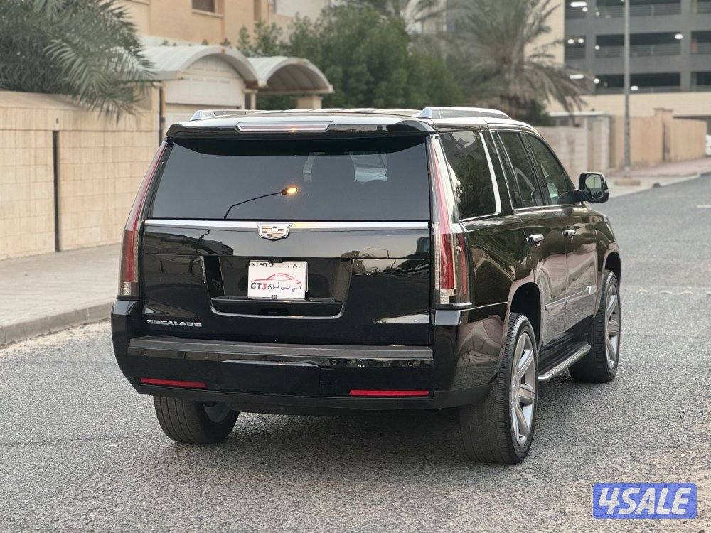 2019 كادليك اسكاليد1