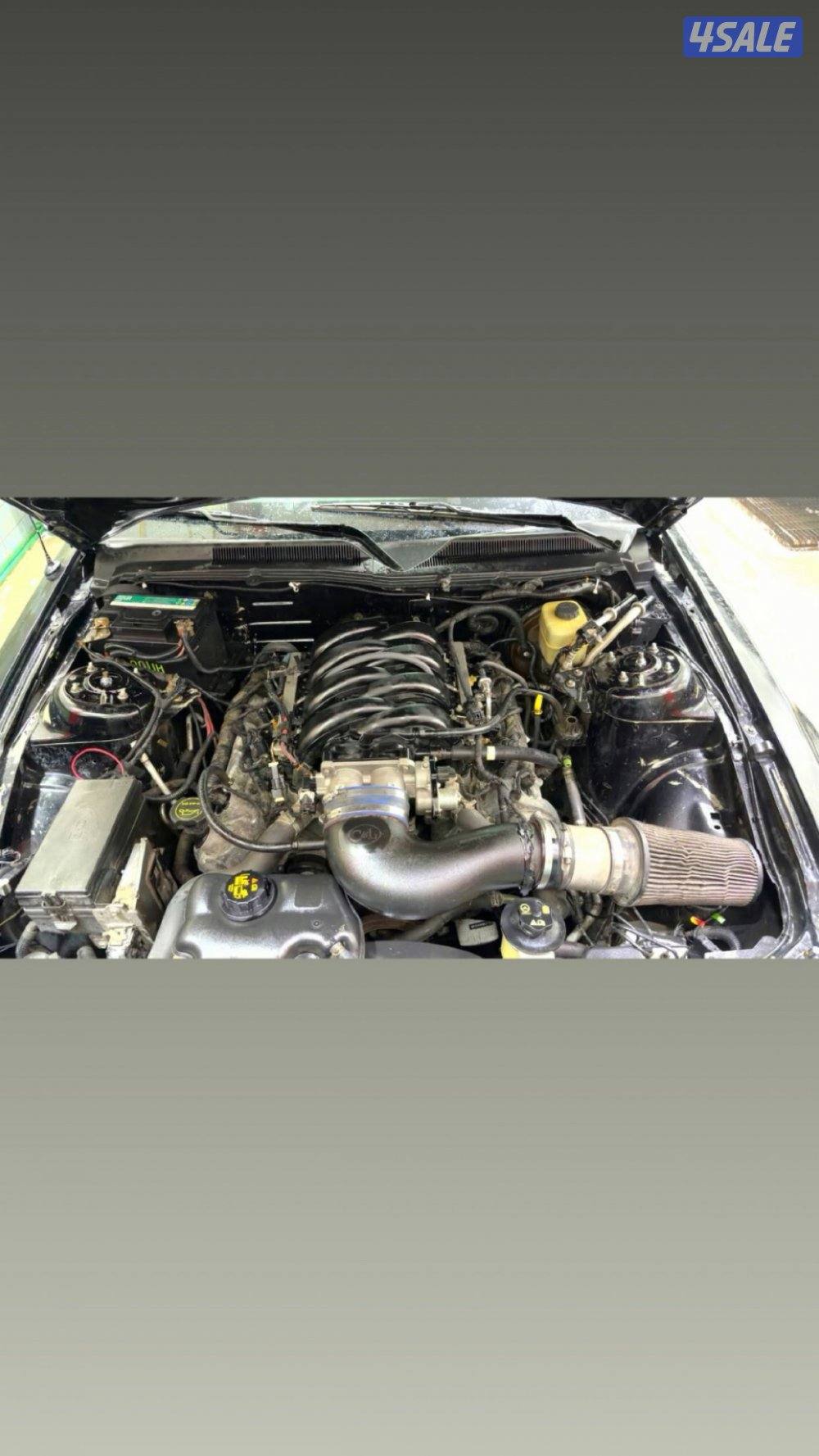 موستنج ٢٠٠٦2