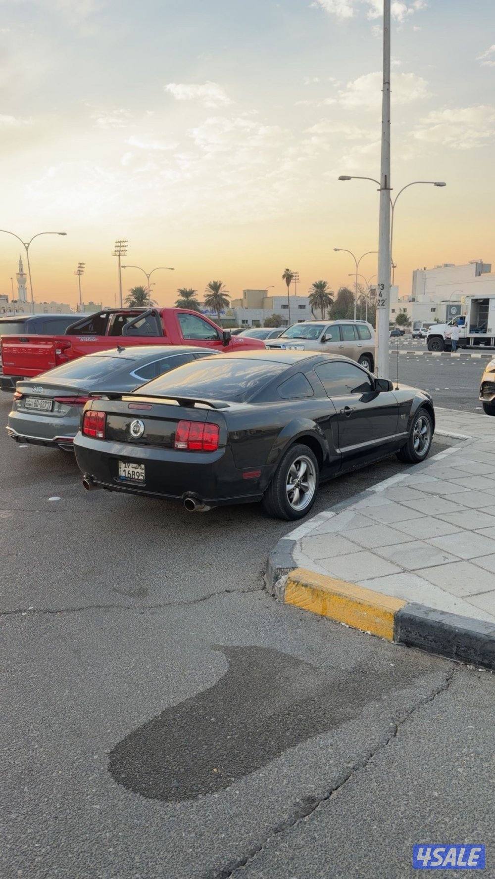 موستنج ٢٠٠٦3