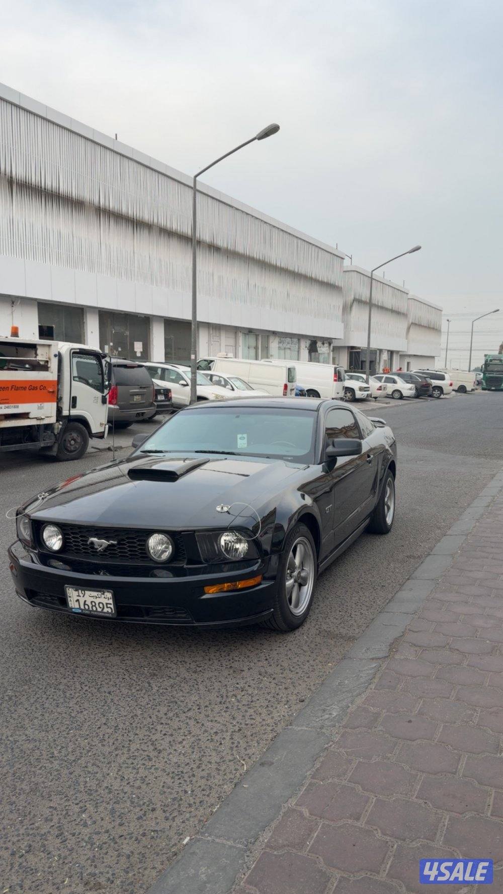 موستنج ٢٠٠٦4