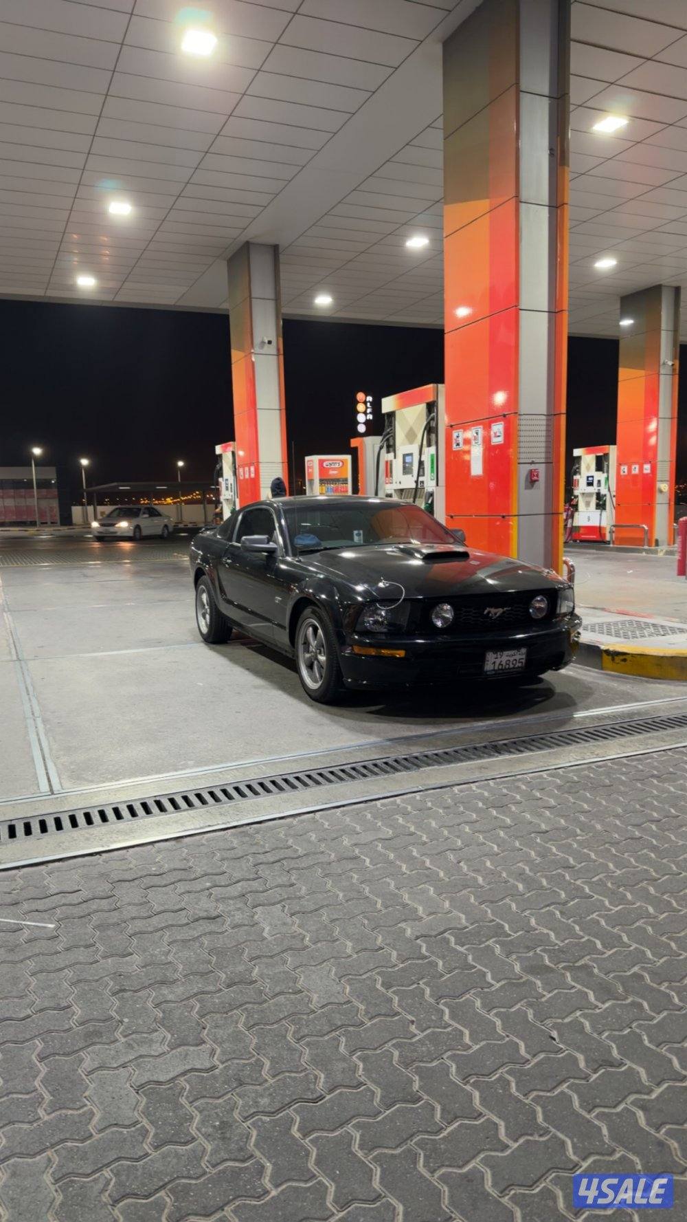 موستنج ٢٠٠٦5