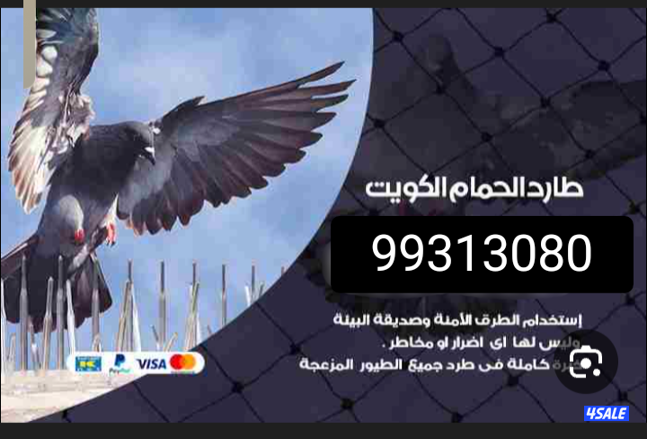 تخلص من فضلات الحمام من عالى الدرايش واصوار البيت0