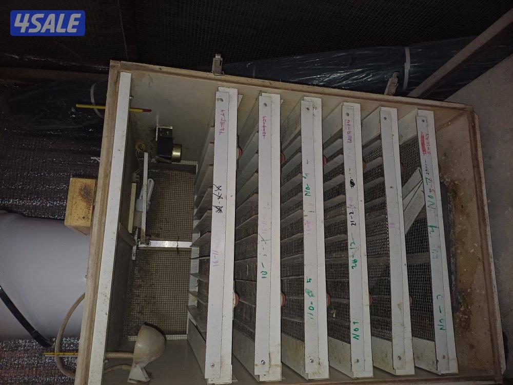 للببع فقاسة وصيصان1