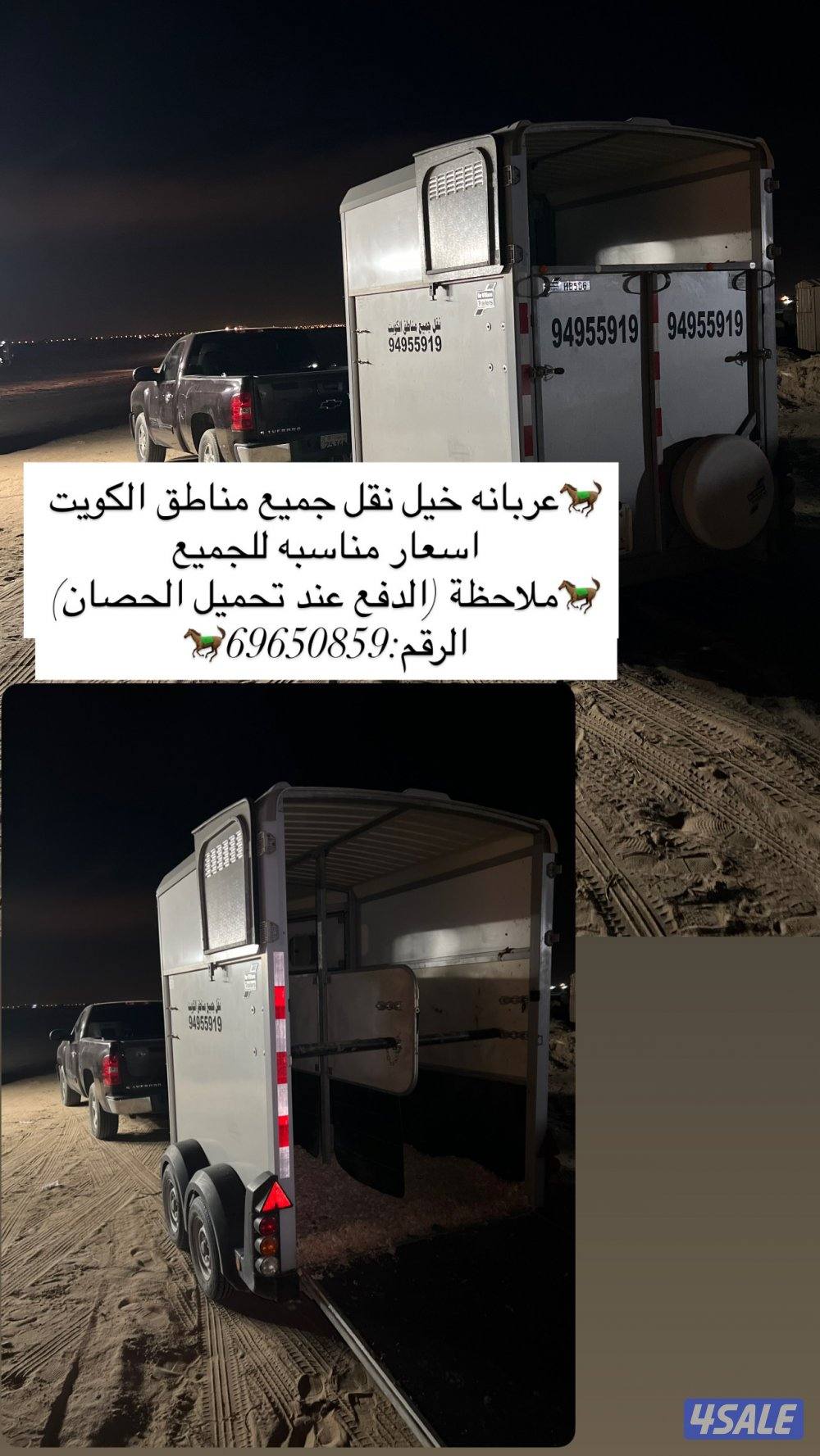 نقل خيل متواجد فيه الوفرة0