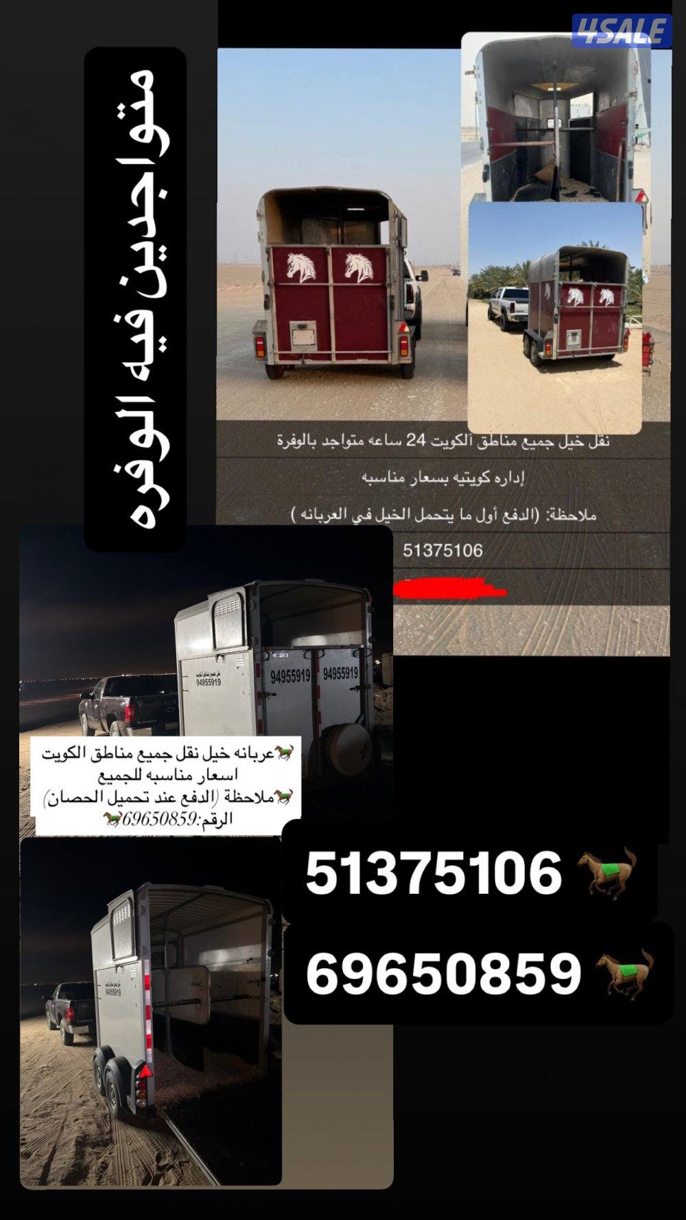 نقل خيل متواجد فيه الوفرة1