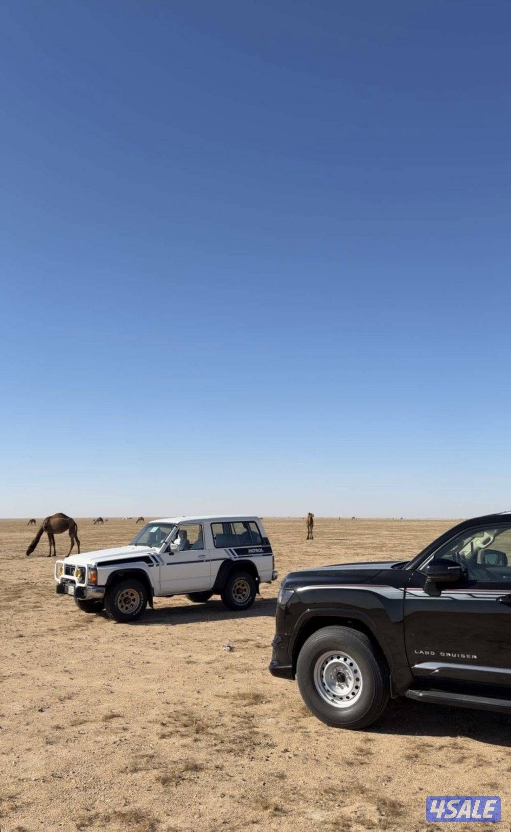 للبيع سفاري وارد الحمراني حكومي موتري مصبوغ عام تجديد صبغه اله تندا0