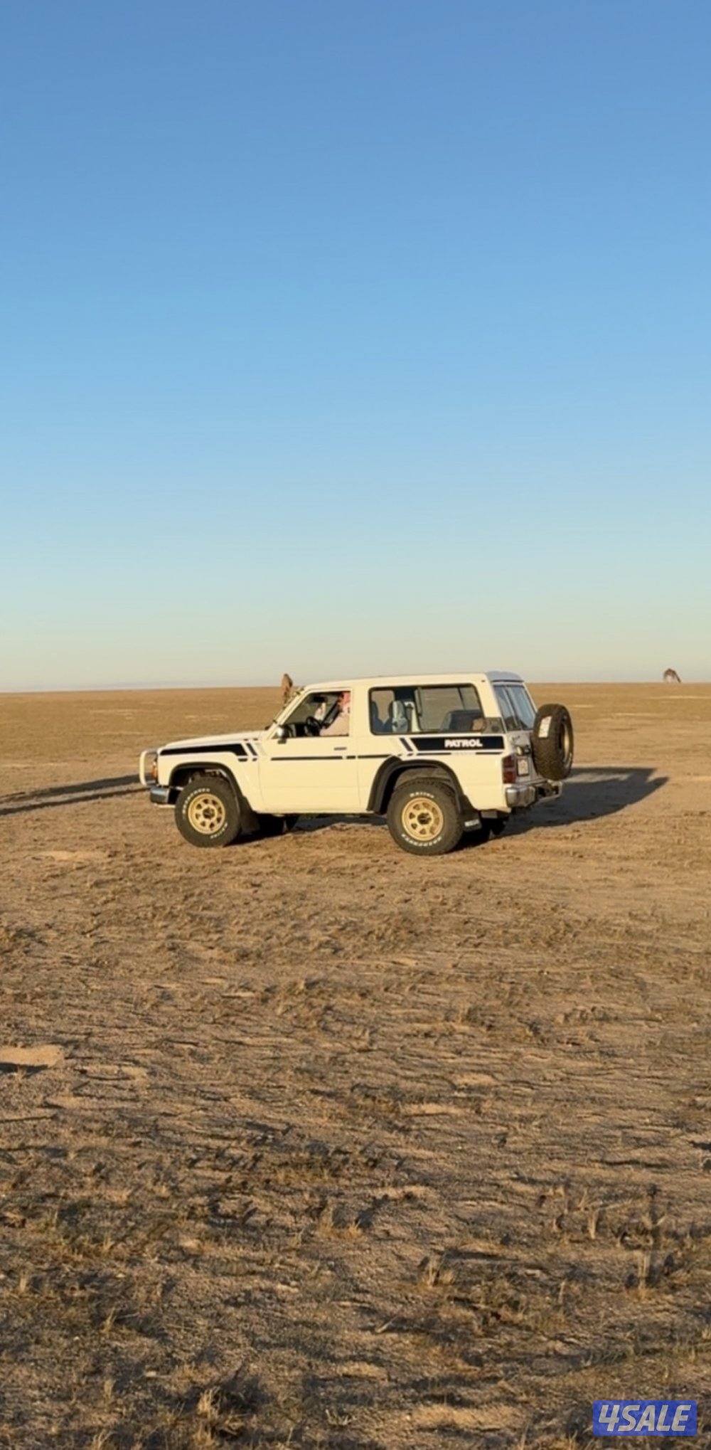 للبيع سفاري وارد الحمراني حكومي موتري مصبوغ عام تجديد صبغه اله تندا1