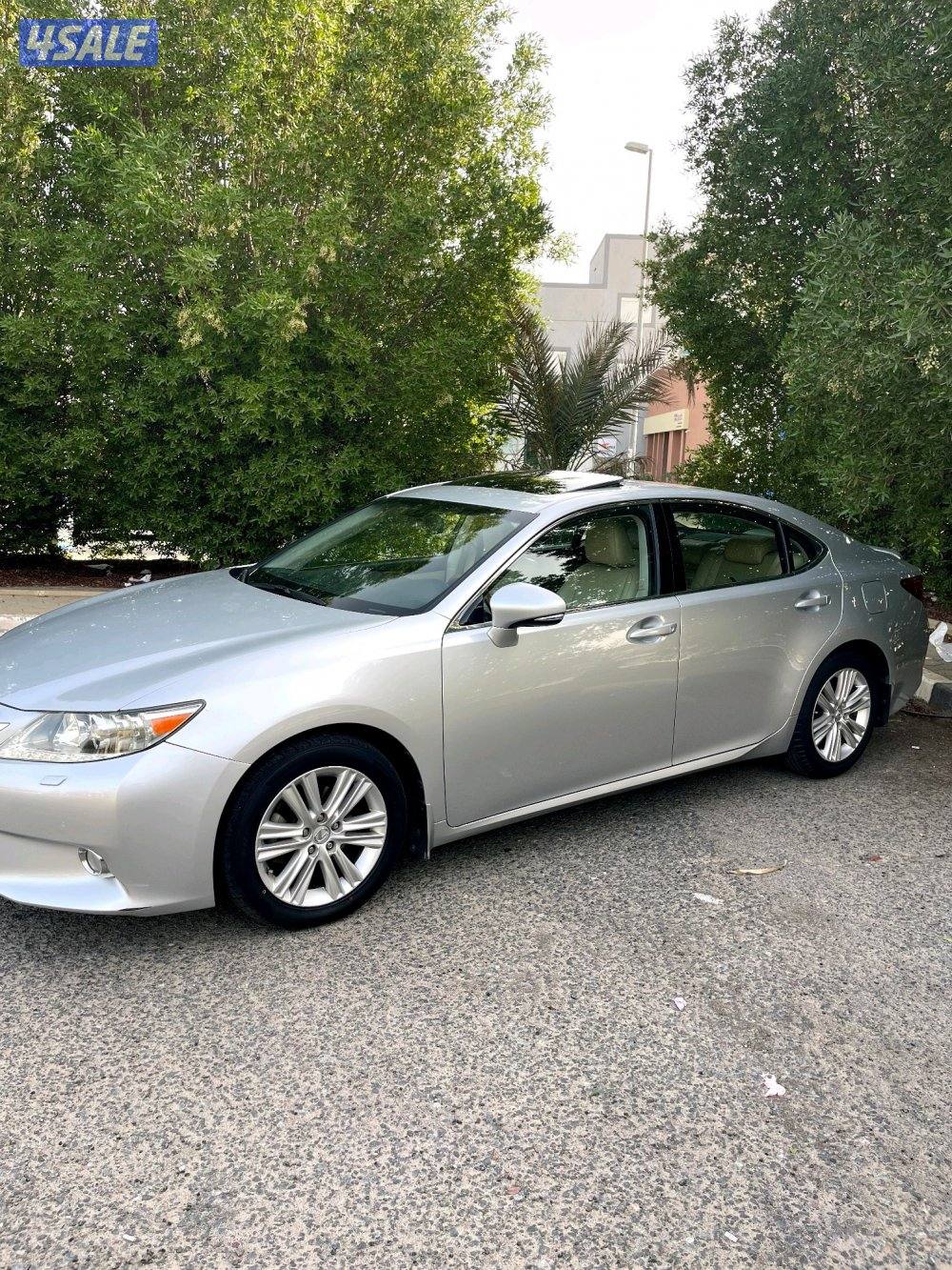 بحالة الوكاله0