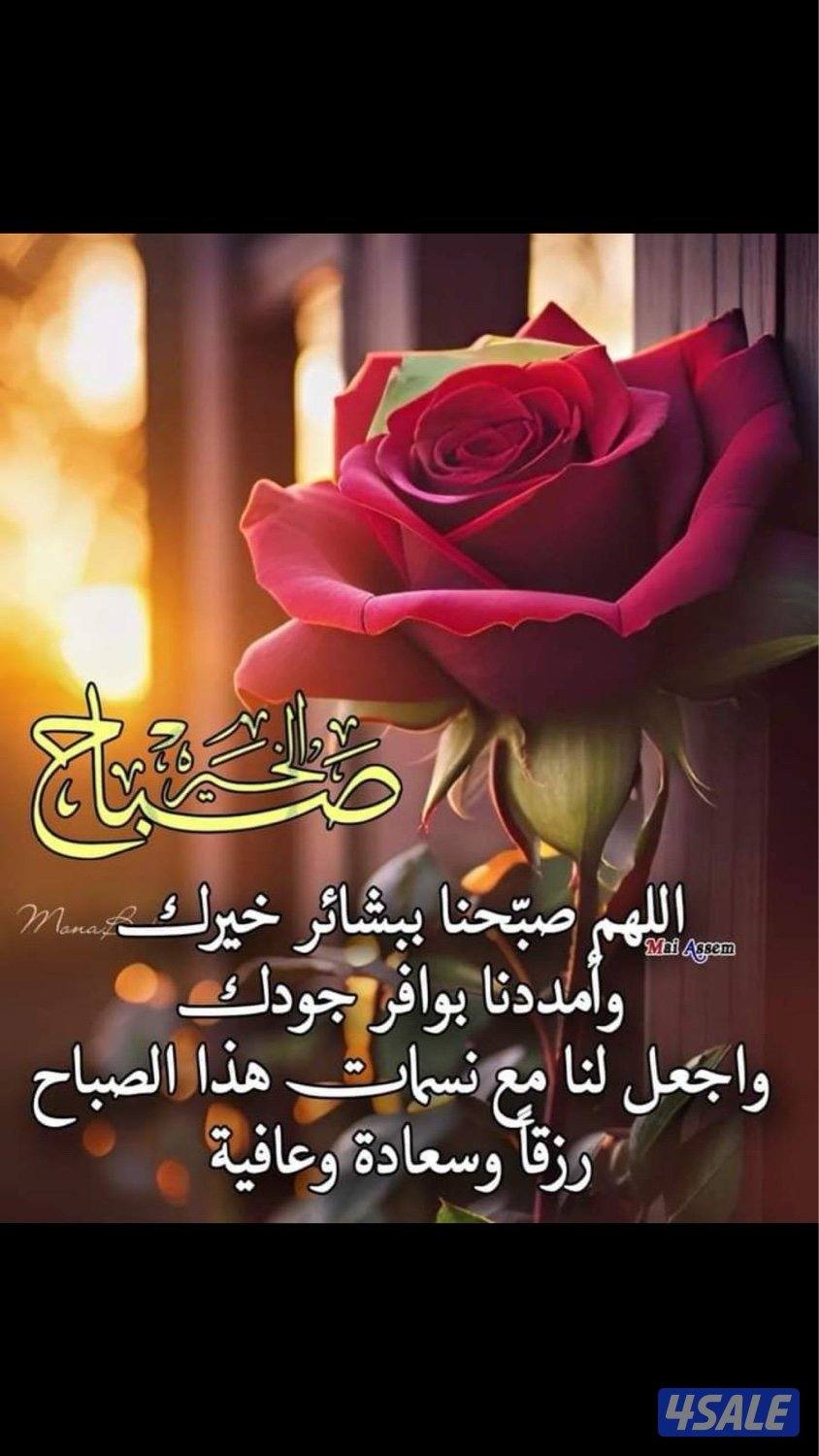 للبيع قسيمه في سعد العبدالله ق2سرداب ودورين وربع وثيقه حره0