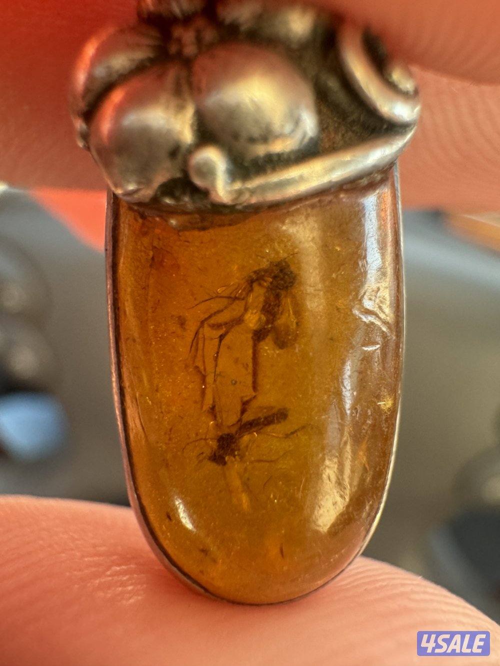 للبيع قلادة كهرب حشري + مسباح كهرب معطش4