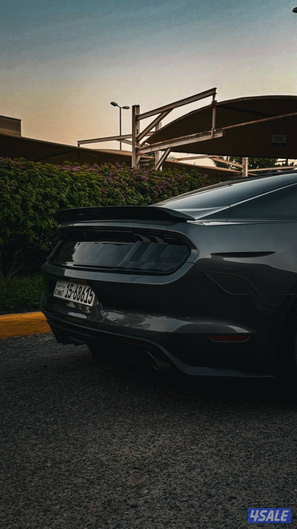 للبيع موستنق1