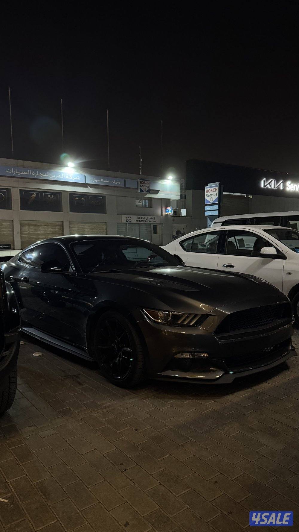 للبيع موستنق3