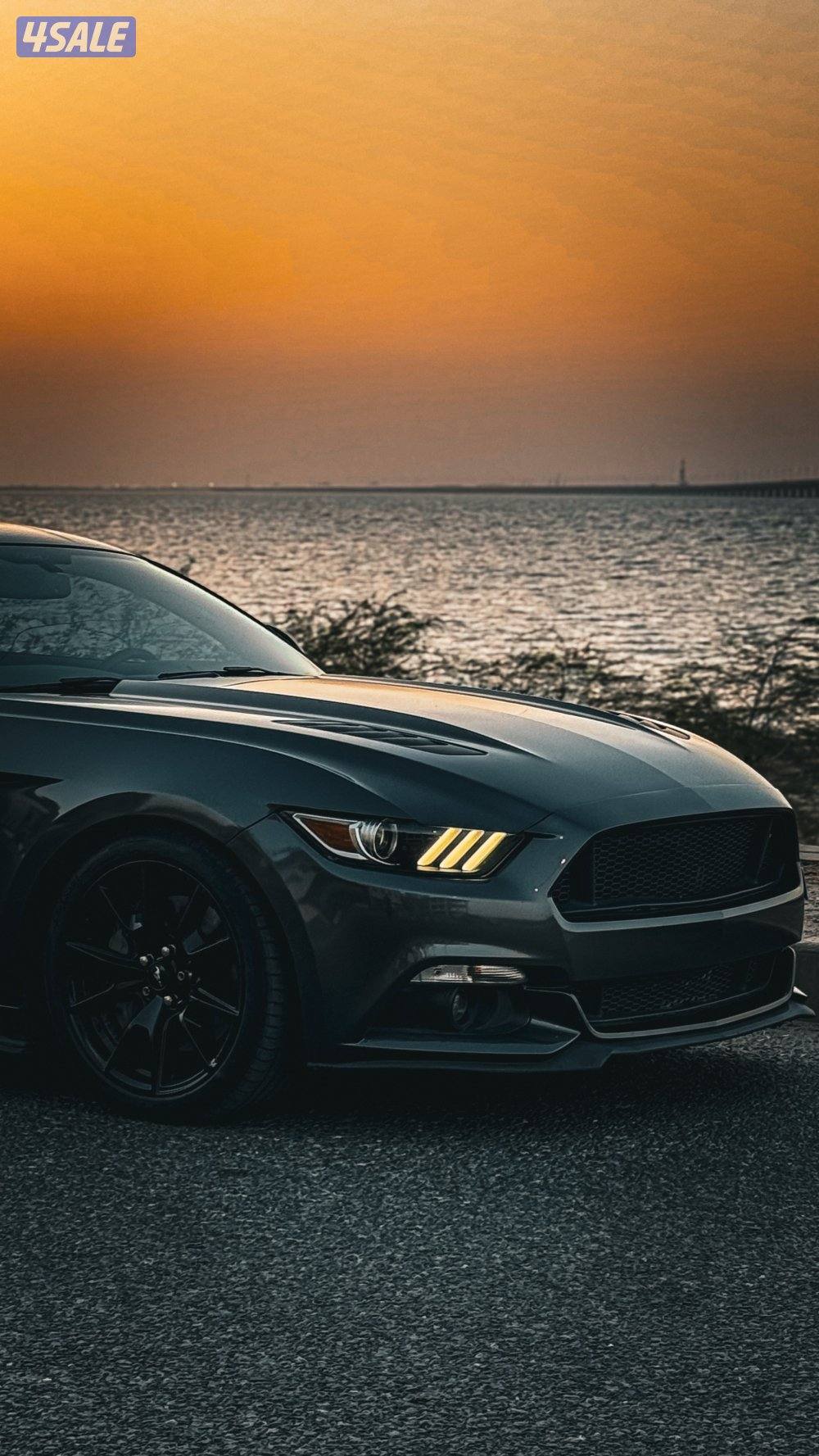 للبيع موستنق8