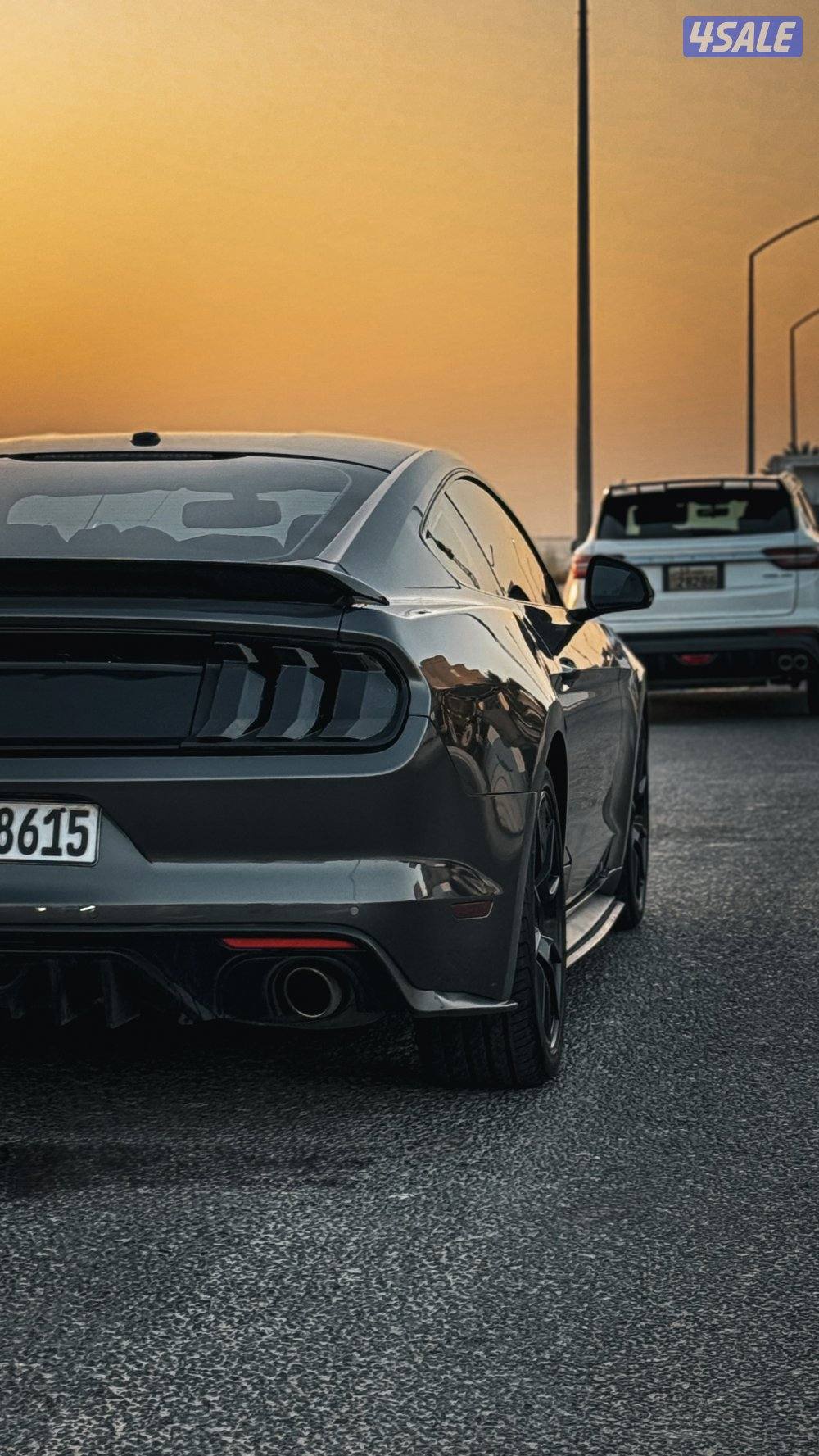 للبيع موستنق9