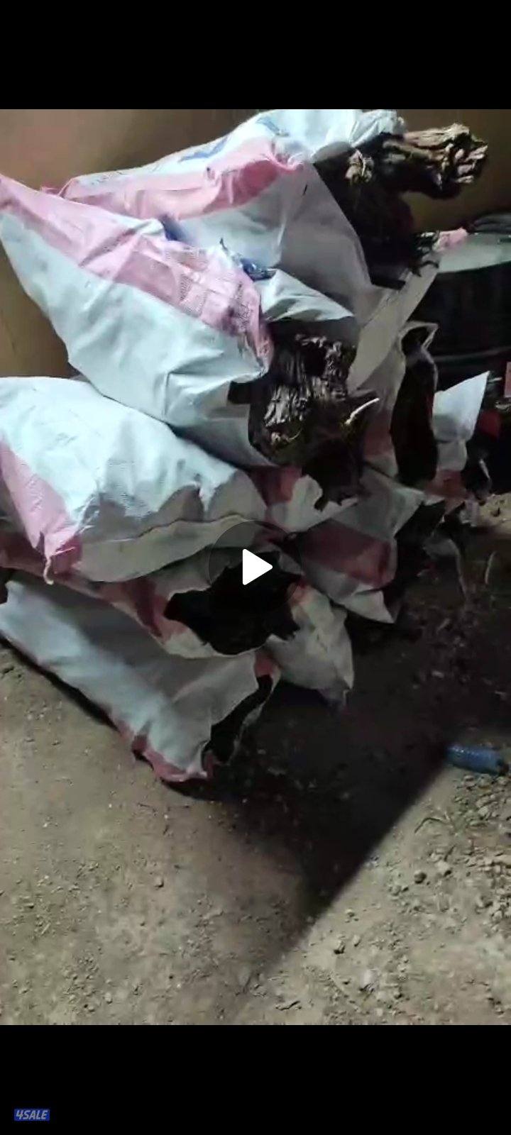 حطب ارطه جرووم كبيره وخيشه فل0