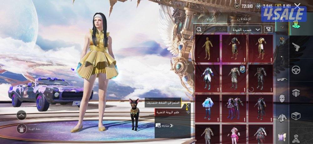 حساب ببجي للبيع2