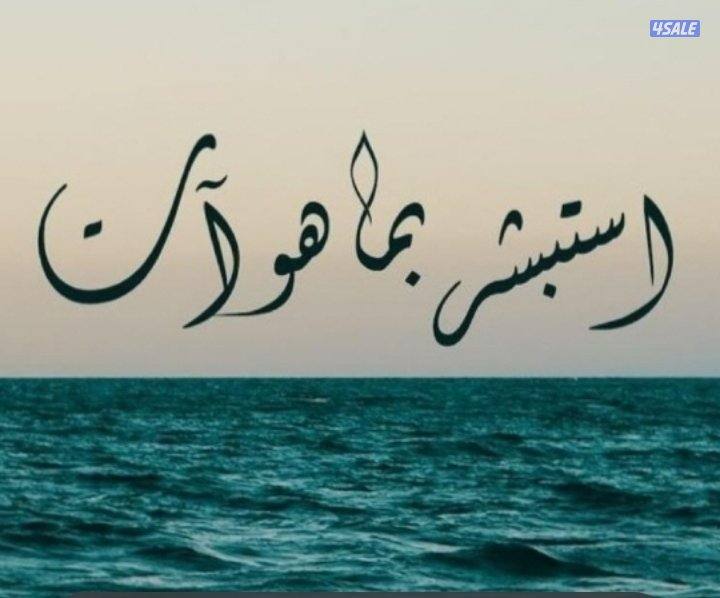 ابحث عن عمل  مناسب0