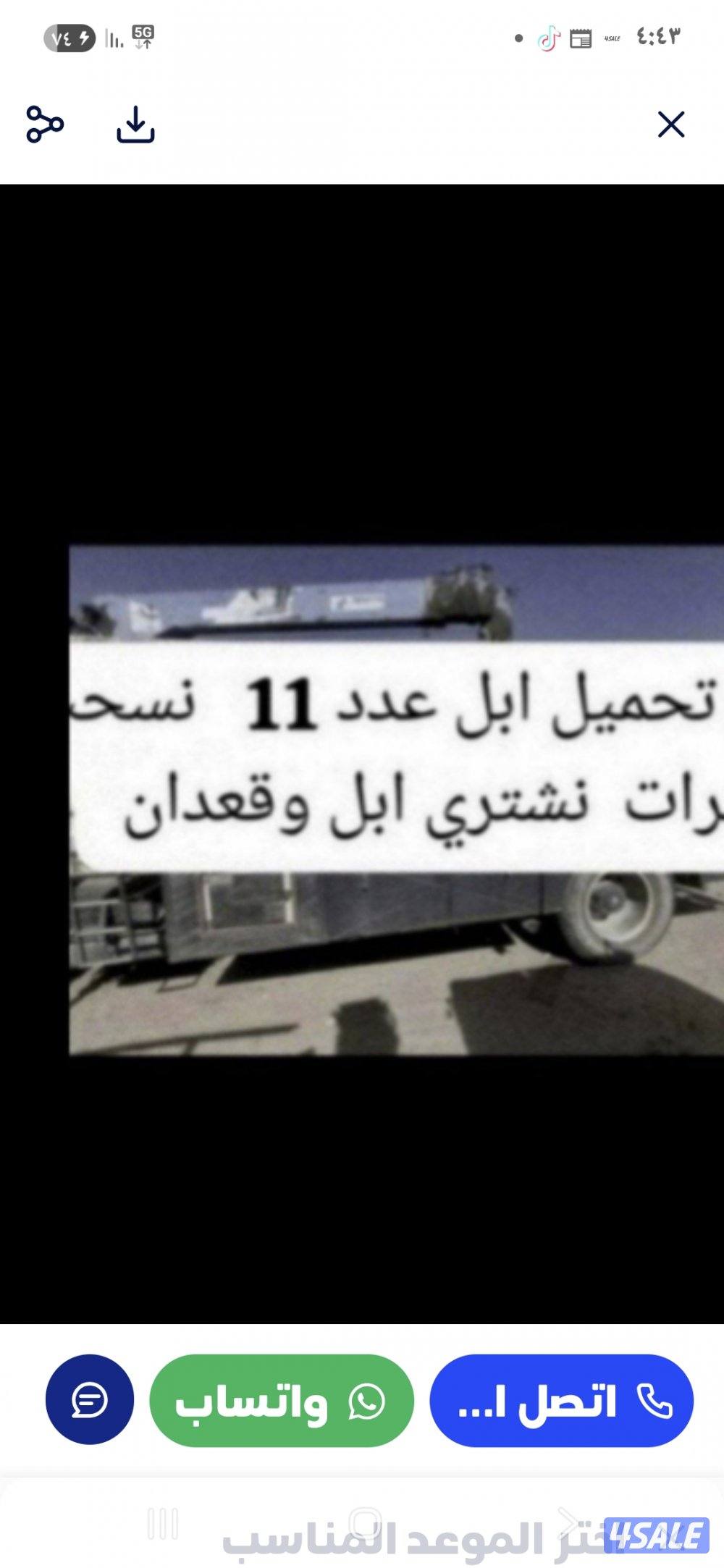 نشتري ابل وحشوونش تحمل بل العدد120