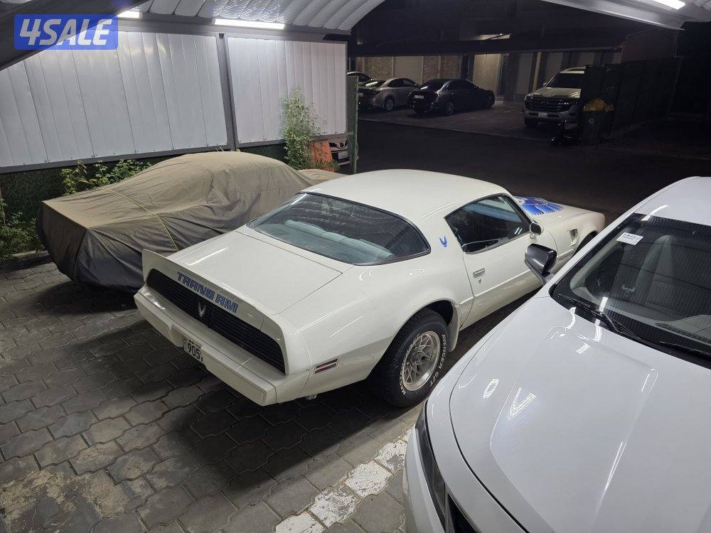 للبيع ترانز ام موديل 1981 كندي بحالة الوكاله، نظيف جدا.0