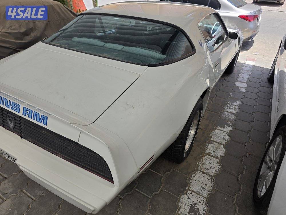 للبيع ترانز ام موديل 1981 كندي بحالة الوكاله، نظيف جدا.1