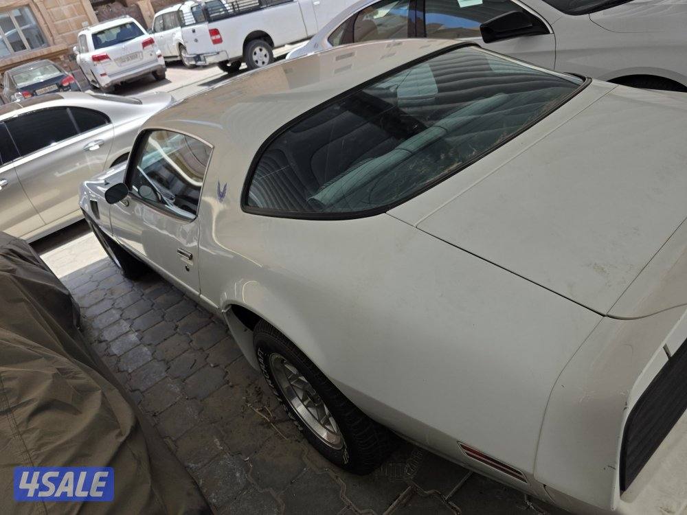 للبيع ترانز ام موديل 1981 كندي بحالة الوكاله، نظيف جدا.2