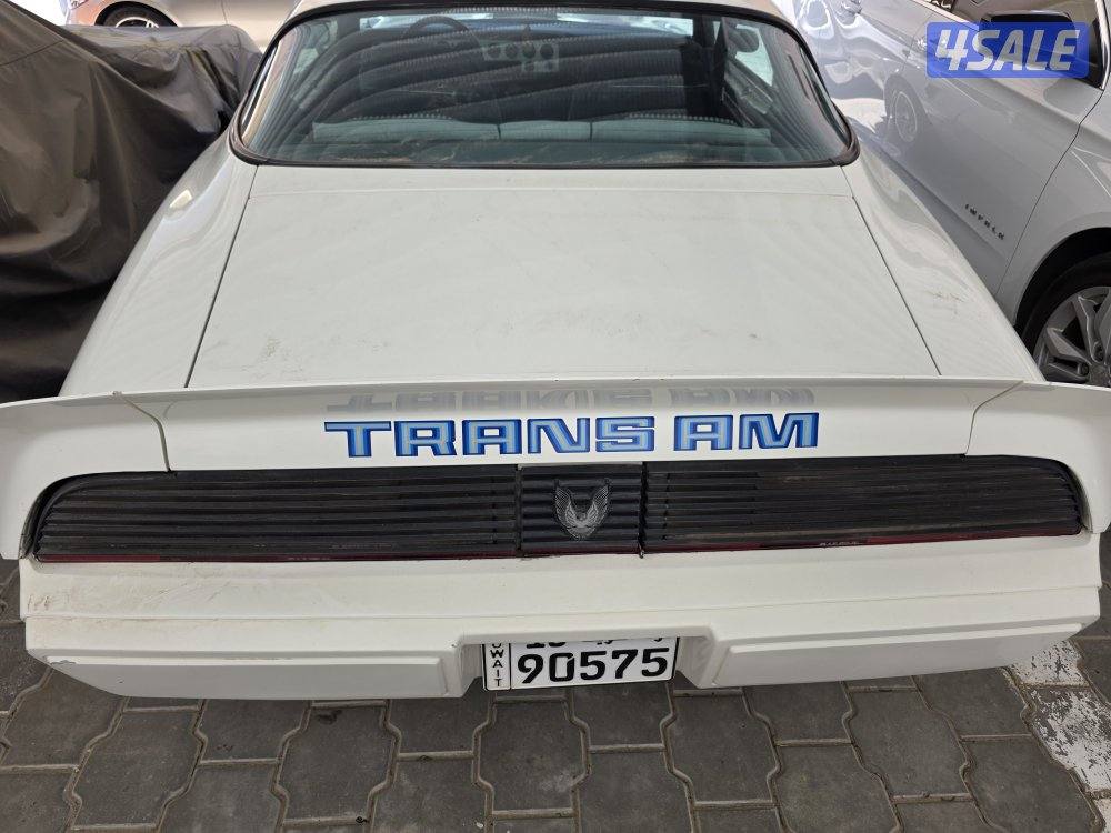 للبيع ترانز ام موديل 1981 كندي بحالة الوكاله، نظيف جدا.5