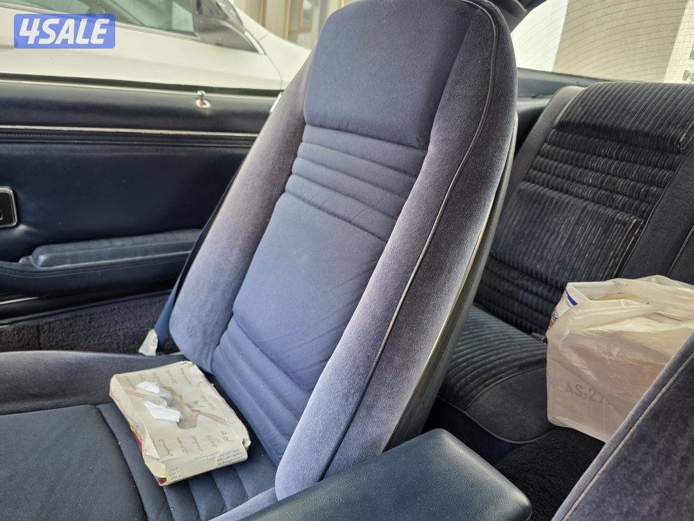 للبيع ترانز ام موديل 1981 كندي بحالة الوكاله، نظيف جدا.6